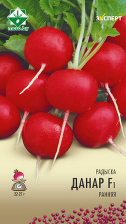 Редис "Донар F1" 1г, Нидерланды.