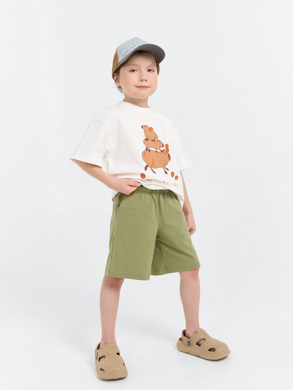 Шорты трикотажные 