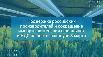 Поддержка российских производителей и сокращение импорта: изменения в пошлинах и НДС на цветы накануне 8 марта