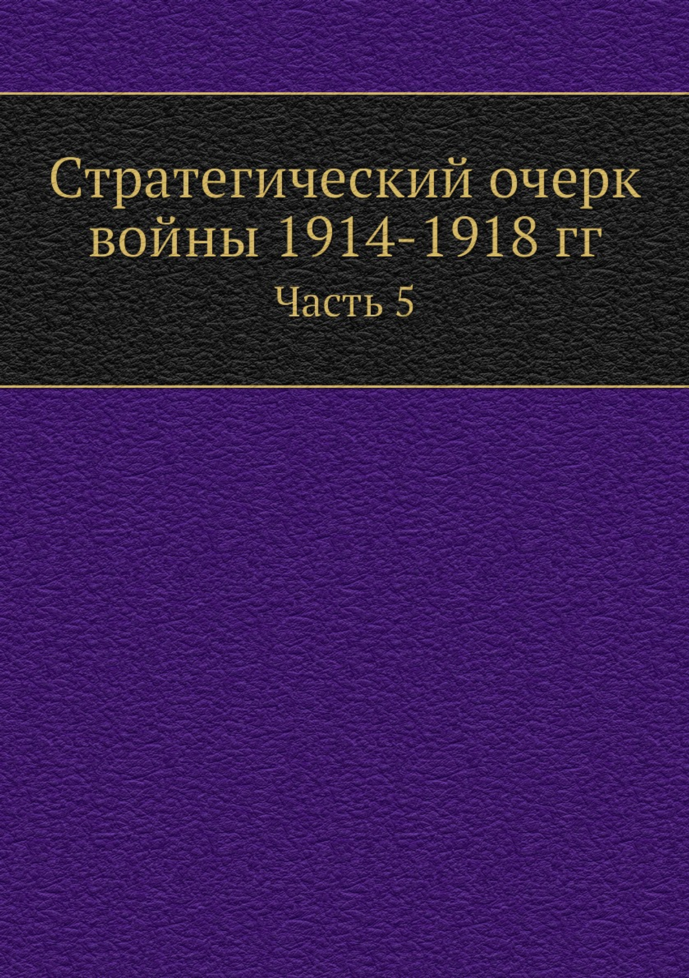 Стратегический очерк войны 1914-1918 гг.. Часть 5 | Коллектив авторов