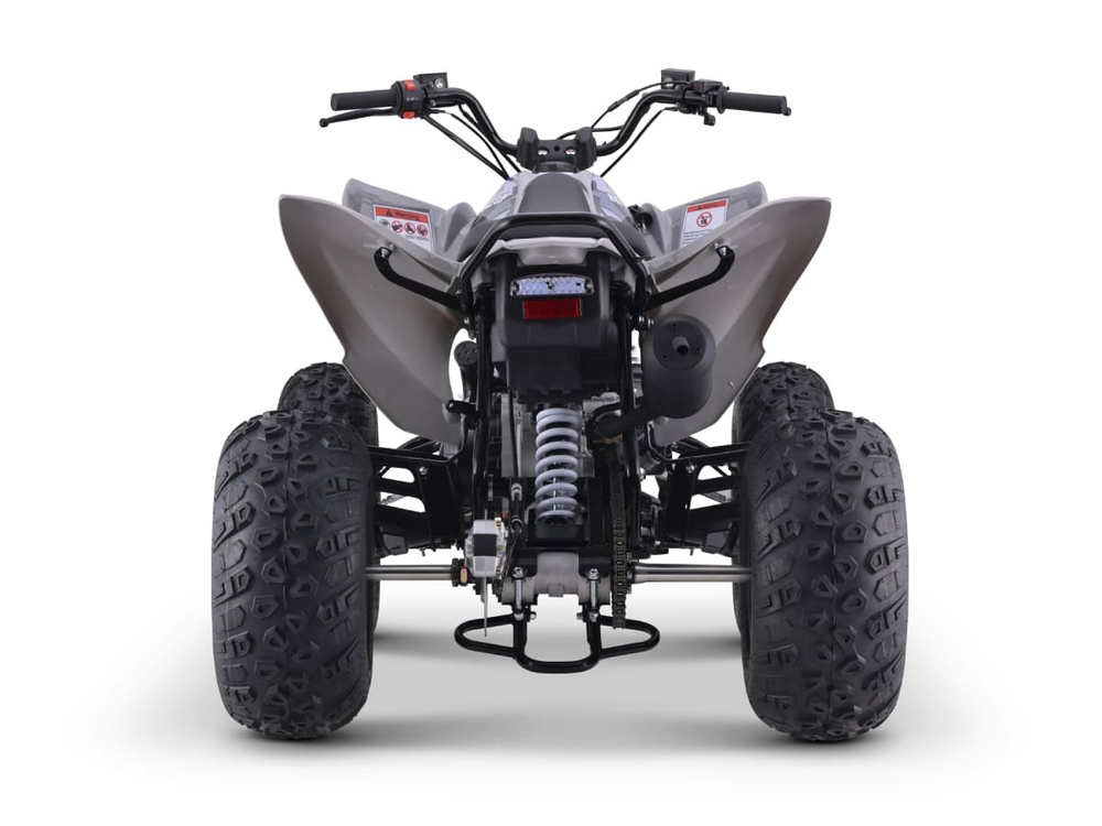 Квадроцикл SHARMAX Raizer Race Cup 250