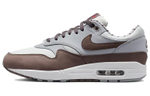 Кроссовки Nike Air Max 1 Shima Shima