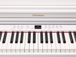 Roland RP701-WH