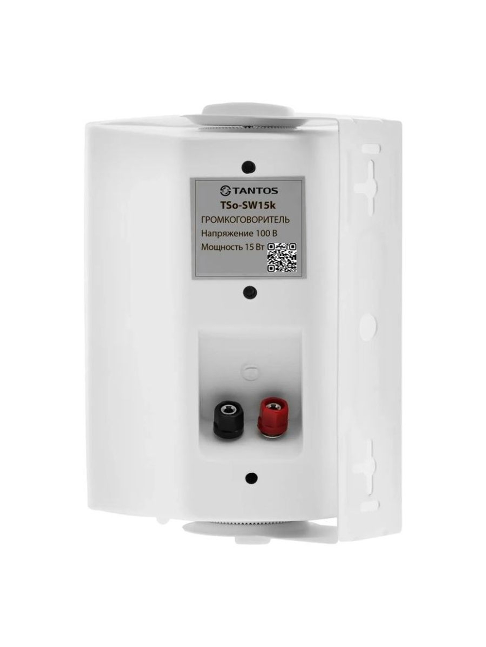 Громкоговоритель TSo-SW20k