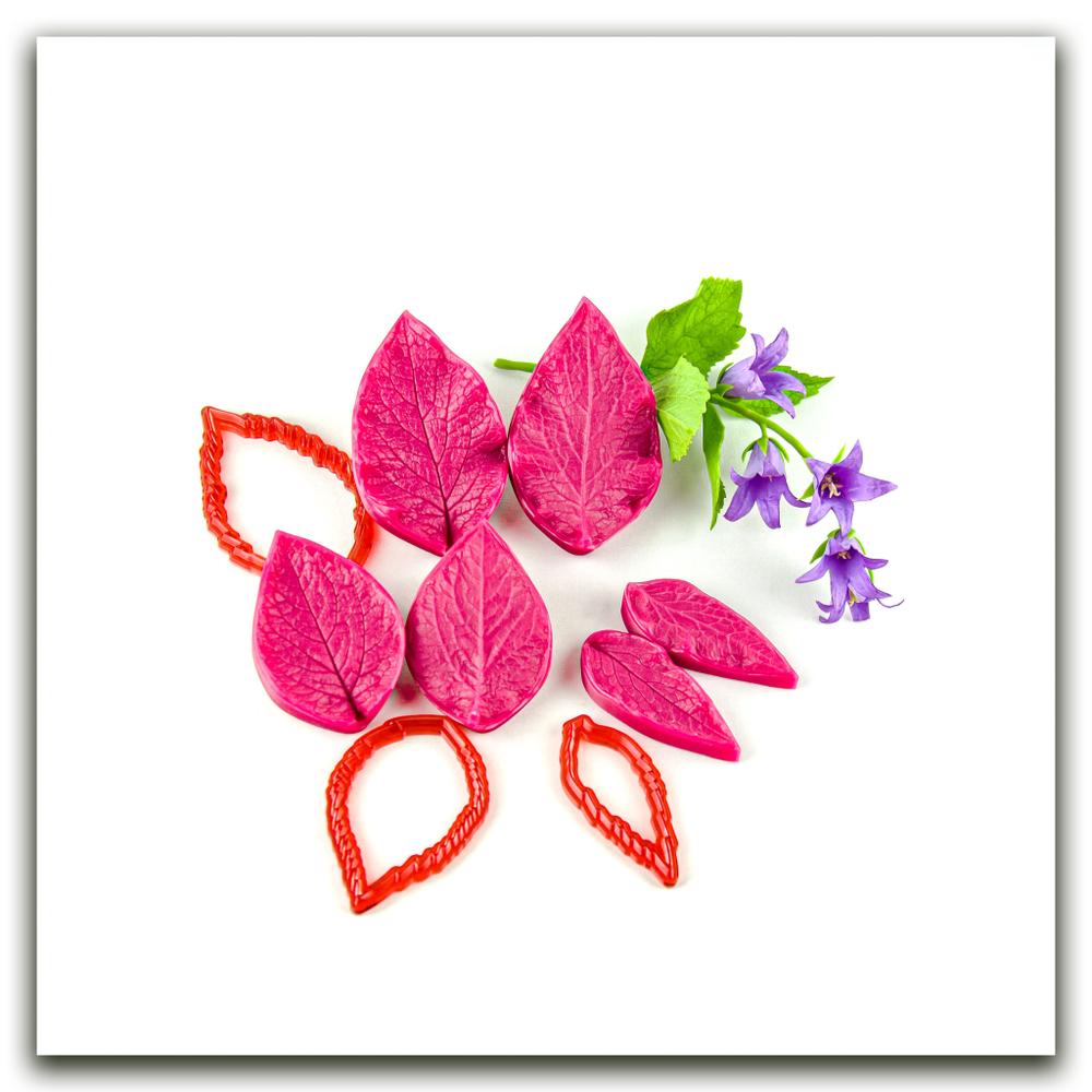 Листья колокольчика