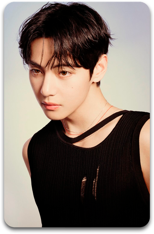 Карта / BTS #1542