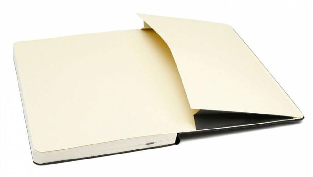 Блокнот Moleskine Classic Large 130х210 мм 240 стр (QP060R)