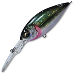 Воблер Megabass XPOD Jr, (Ht Obb)