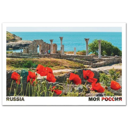 Маки Херсонеса, Крым