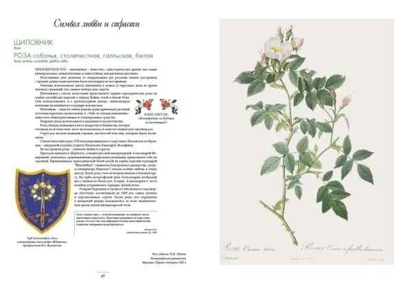 Мода на ботанику. Цветочный мир Петергофа
