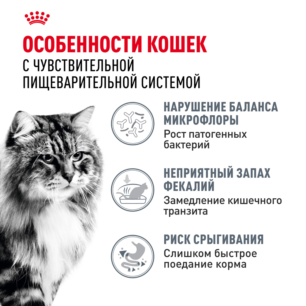 Royal Canin DIGESTIVE CARE (ДАЙДЖЕСТИВ КЭА) Корм сухой полнорационный для взрослых кошек для поддержания здоровья пищеварительной системы - 0,4 кг