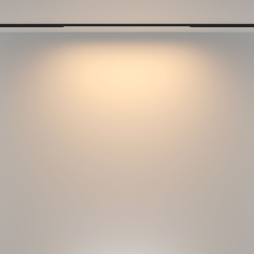 Трековый магнитный светодиодный светильник Maytoni Basity Basis TR173-1-16WTW-B