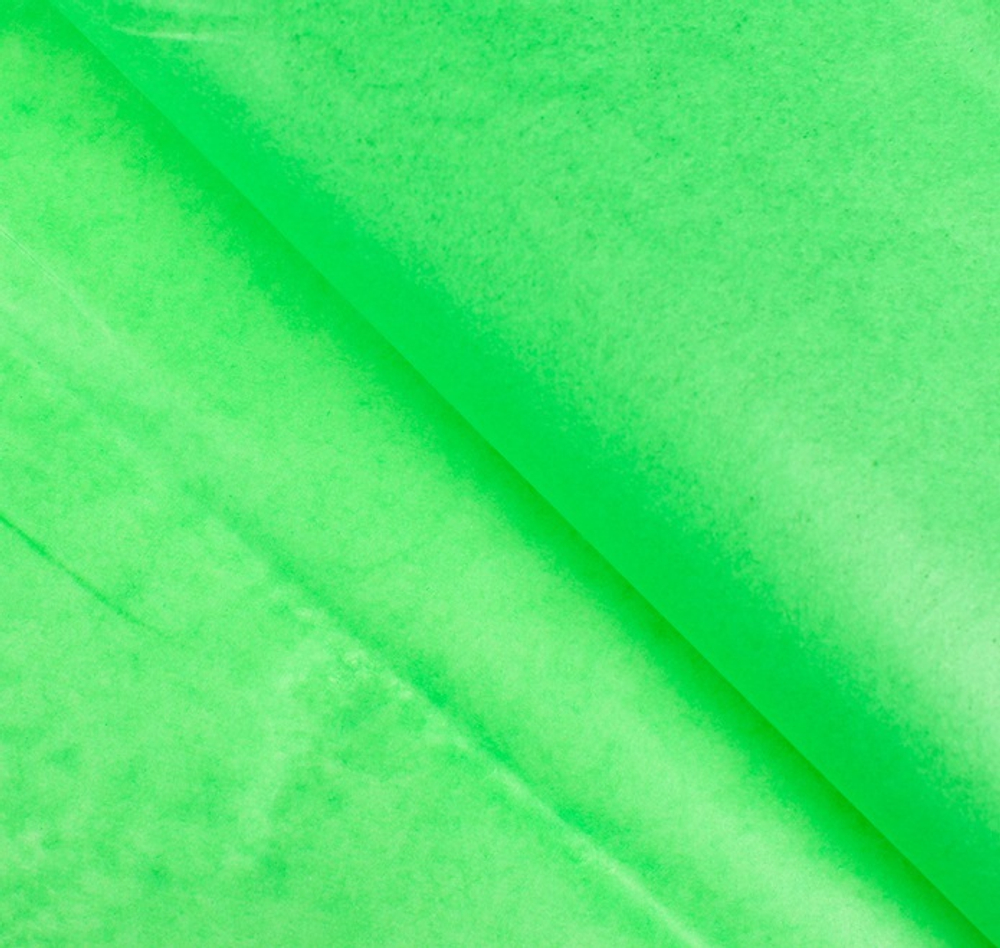 700 - 2025-02-17T173459.673