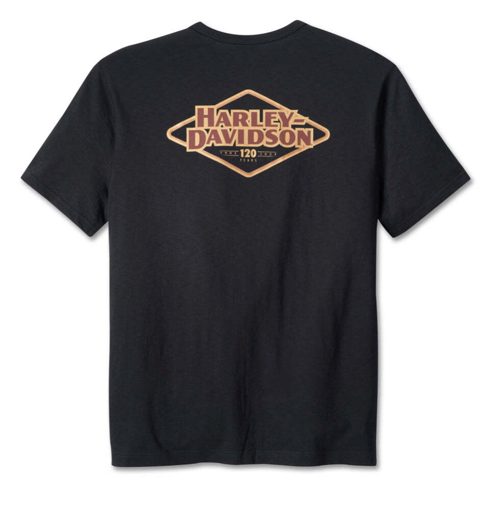 Футболка мужская Harley-Davidson 120th Anniversary