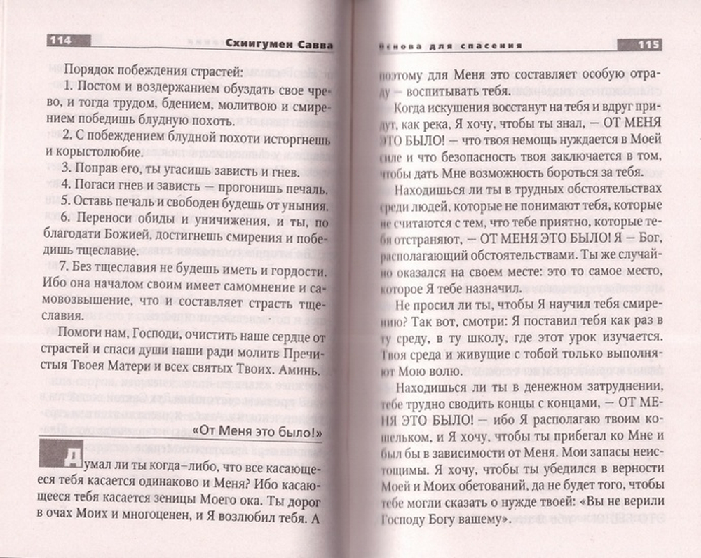 Двенадцать заповедей спасения. Схиигумен Савва