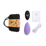 Вибратор FEELZTOYS Panty Vibe Remote Controlled Vibrator