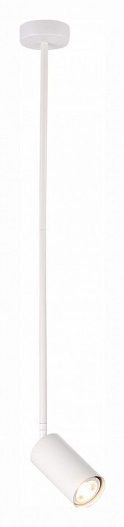 Светильник на штанге ST-Luce Sormano SL1206.503.01