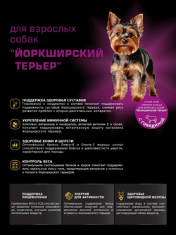 Корм сухой для взрослых собак породы Йоркширский терьер, с говядиной, 800 гр, QUATTRO