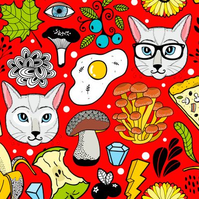 Коты и яичница