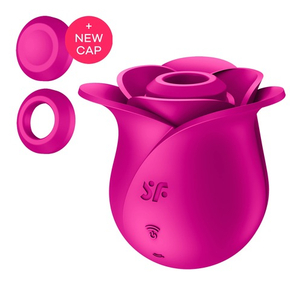 Вакуумный стимулятор клитора Satisfyer Pro 2 Classic Blossom