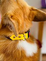 Ошейник для собак из биотана , 25 мм , 35-55 см . Клетка и салатовый