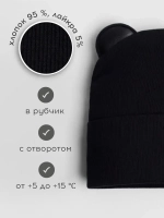 Шапка для мальчика осенняя с ушками