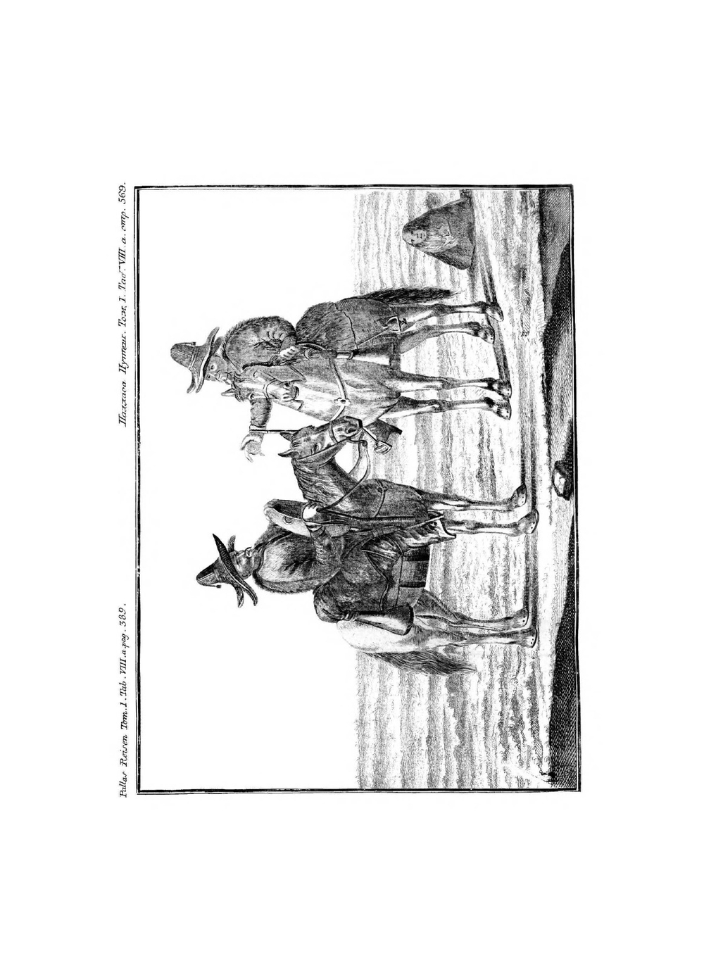 Путешествие по разным провинциям Российского Государства. Атлас | П.С. Паллас