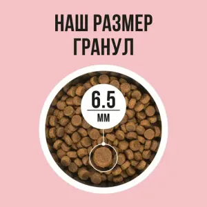 Сухой корм BOWL WOW для взрослых кошек с индейкой и яблоком