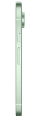 Смартфон Google Pixel 9 12/256GB, Wintergreen