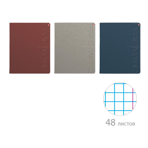 Тетрадь 48 л. клетка АЛЬТ Прагматик (7-48-1363)