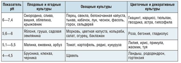 Как подготовить почву к посадке: удобрения, pH и структура