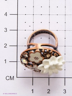 Кольцо "Рюкон"