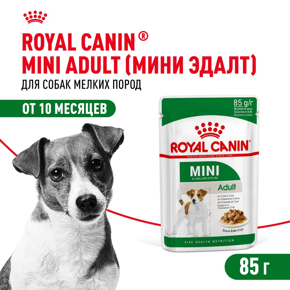 Пауч Royal Canin Mini Adult для взрослых собак мелких размеров от 10 месяцев, кусочки в соусе Пауч Royal Canin Mini Adult для взрослых собак мелких размеров от 10 месяцев, кусочки в соусе