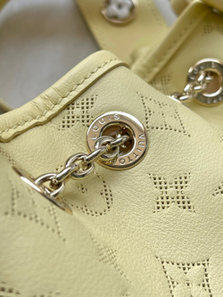 Louis Vuitton Bundle