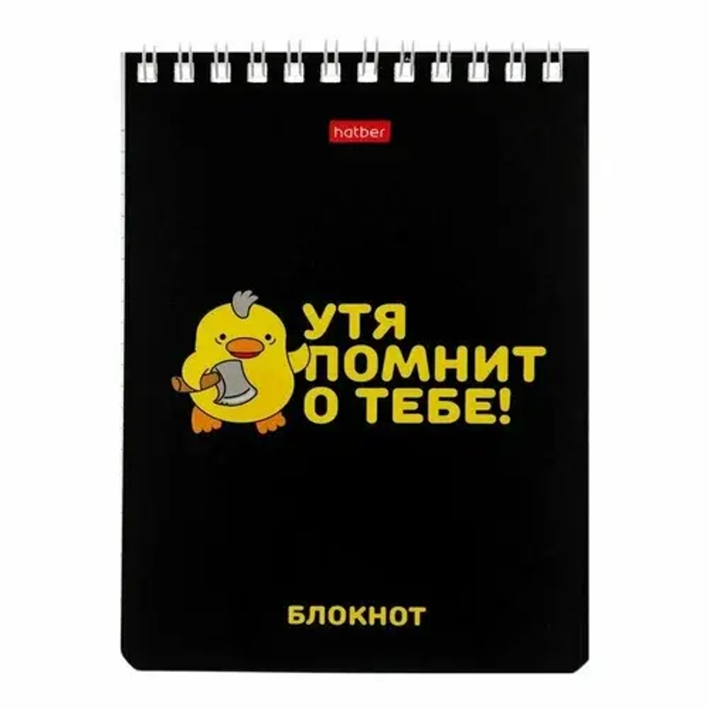 Блокнот 40 листов Hatber 079618