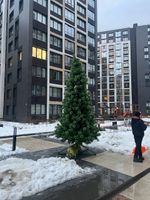 Уличная елка ствольная "Альпийская сосна" (леска) от 3 до 22 м