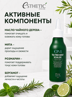 [ESTHETIC HOUSE] Средство для очищения кожи головы CP-1 Tea Tree Mint Scaler, 120мл
