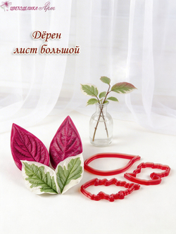 Дёрен большой