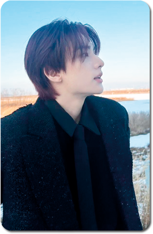 Карта / STRAY KIDS #0884