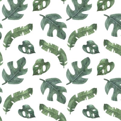 Tropics