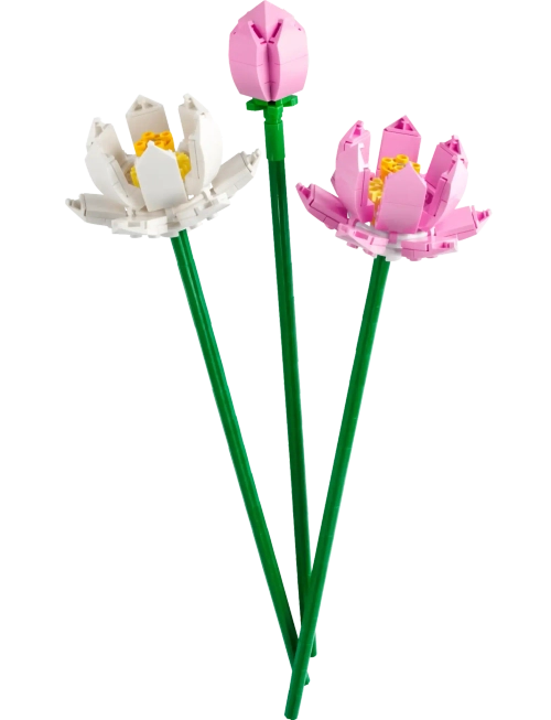 Конструктор LEGO Botanical Collection 40647 Цветы лотоса