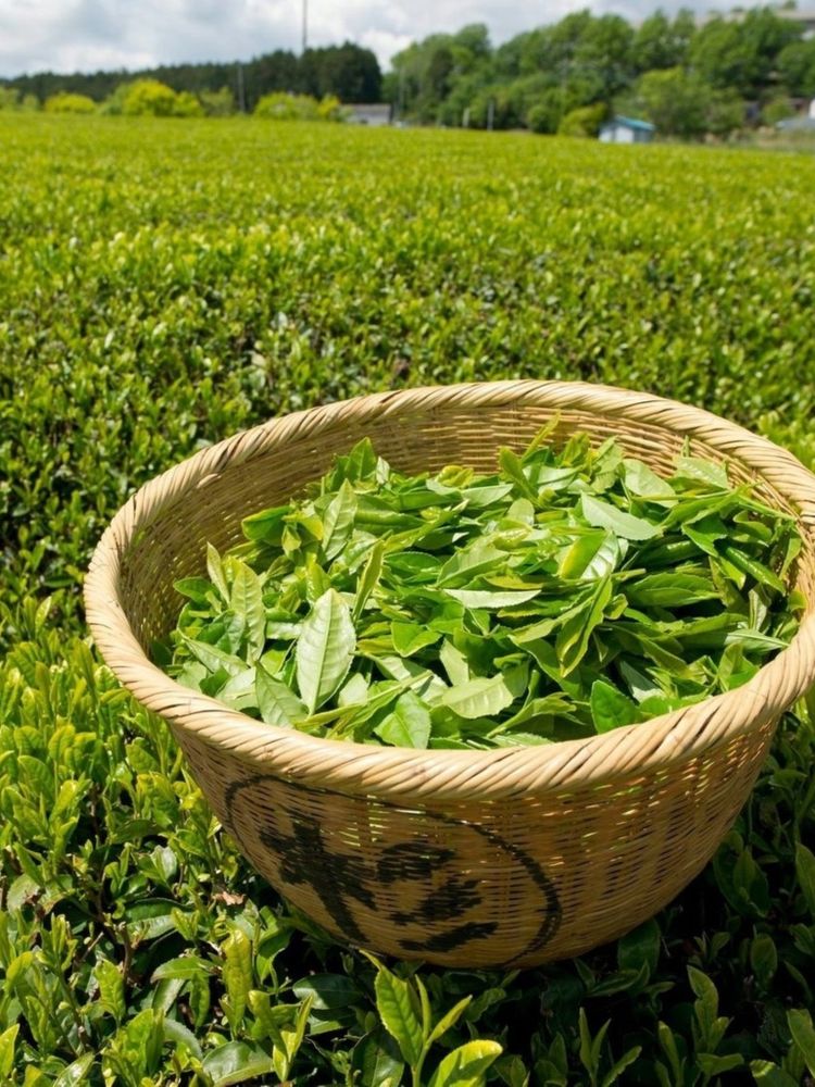 Чай зеленый Shennun с лимоном 200 г
