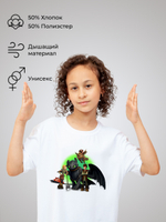 Футболка "Как приручить дракона" (How to Train Your Dragon)