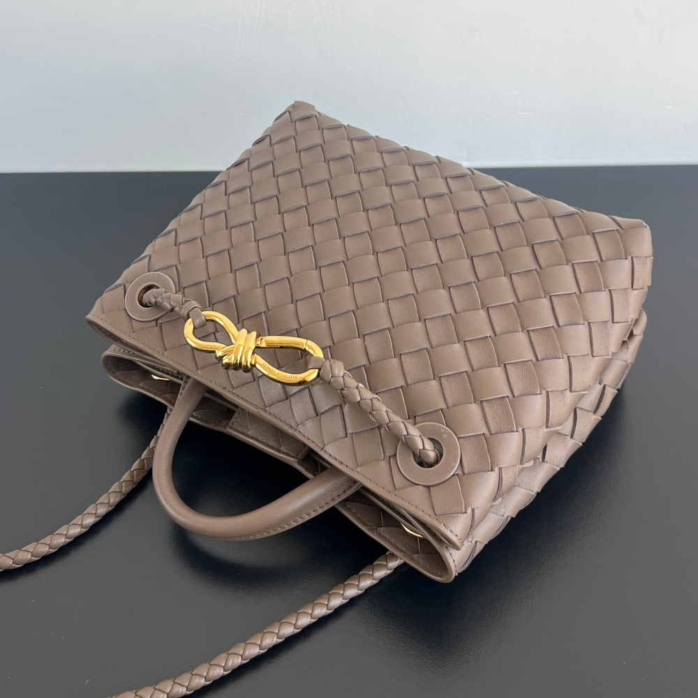 Bottega Veneta Small Andiamo 25 cm
