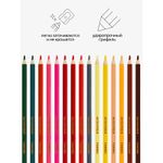 Карандаши цветные трёхгранные 24цв. Гамма Мультики new