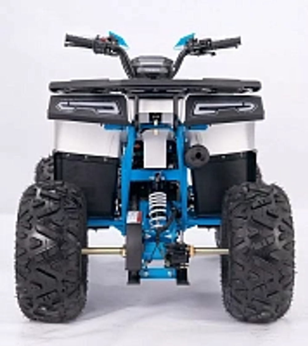 Квадроцикл YACOTA SIRIUS 110