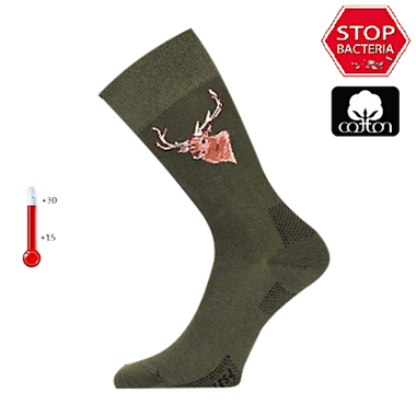 Носки Lasting LFSJ-620 +15°C+30°C Удлинёные (Лето) Cotton+Polyamide Зелёный с рисунком -