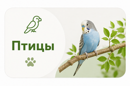 Птицы