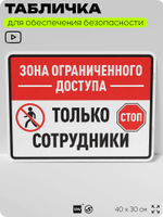 Табличка для обеспечения безопасности "Зона ограниченного доступа, только сотрудники", для производства, предприятия, организаций, 40х30 см, Silver Plane x Айдентика Технолоджи