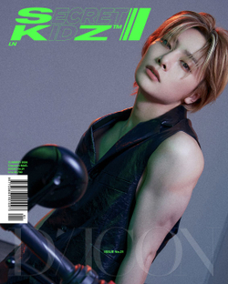 публикация DICON - VOLUME N 21 STRAY KIDS : SECRET KIDZ I.N B Type